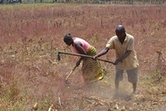 Farmers in the field in Kenya Farmers in Kenya