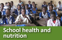 School health and nutrition