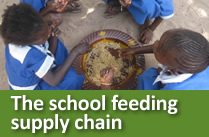 The school feeding supply chain
